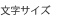 文字サイズの変更