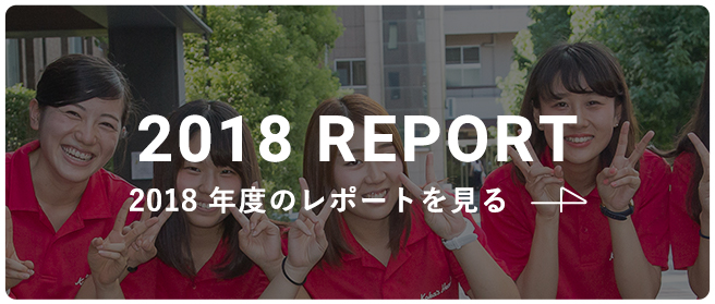 2018 report