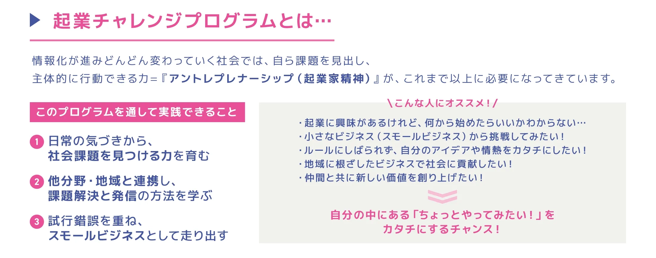 起業チャレンジプログラムとは…情報化が進みどんどん変わっていく社会では、自ら課題を見出し、
主体的に行動できる力=『アントレプレナーシップ（起業家精神）』が、これまで以上に必要になってきています。