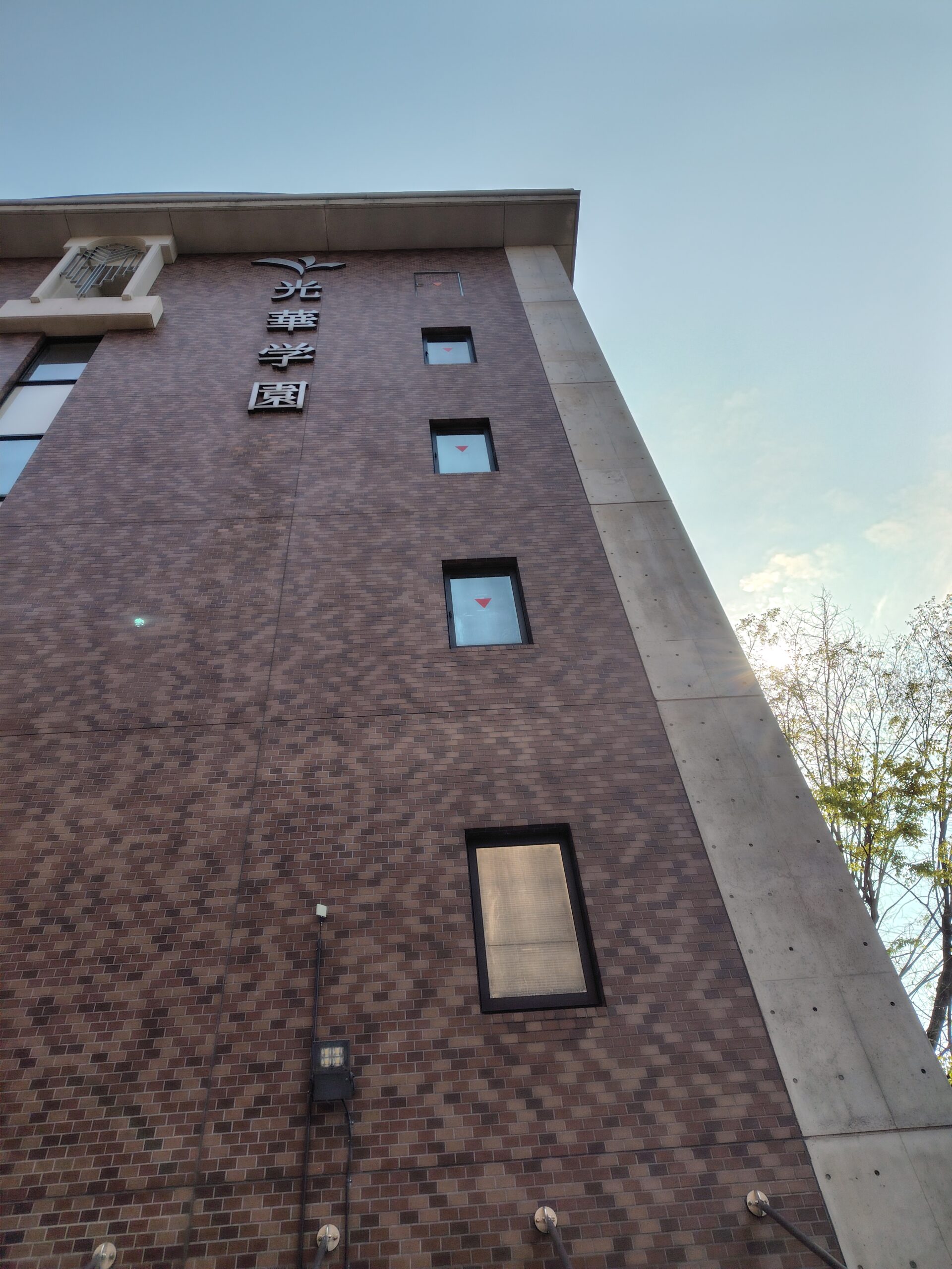 校园花卉新闻（4：校园露面2）