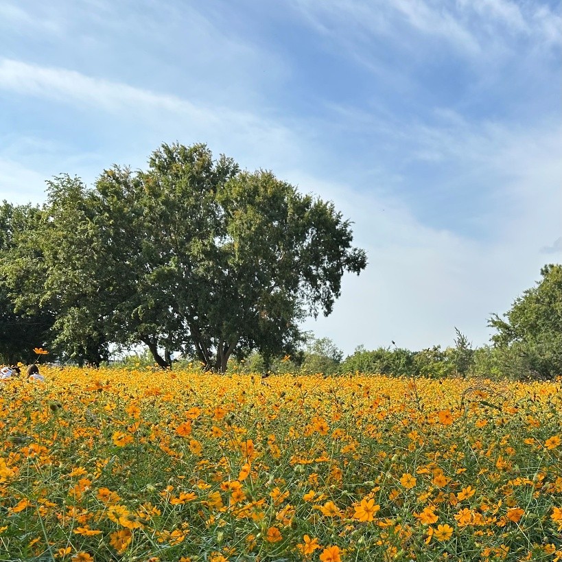光華に入学してよかった