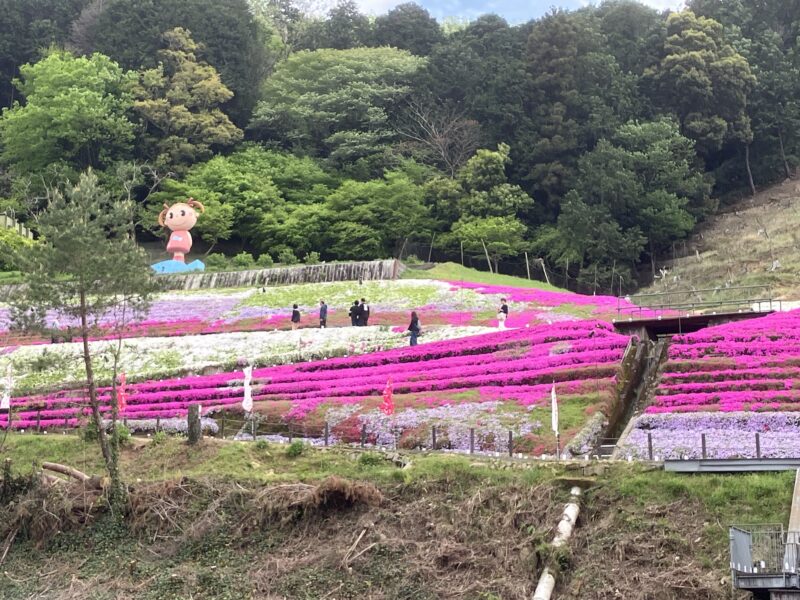 新入生研修に行ってきました！