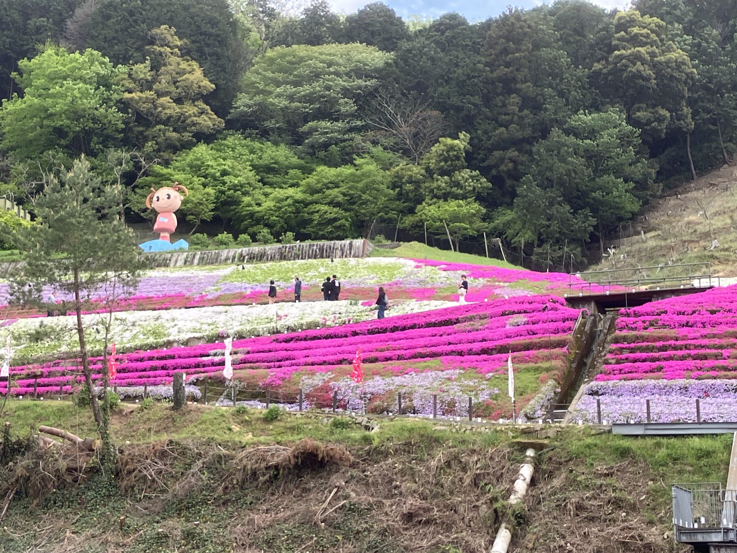 新入生研修に行ってきました！