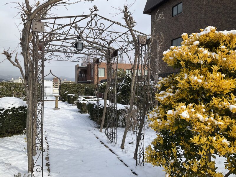 屋上庭園が雪でふんわり変身！