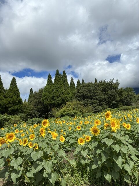 夏休みと作業療法