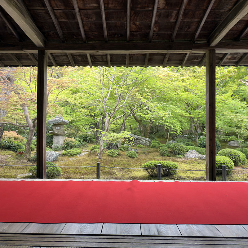 圓光寺十牛之庭の写真。筆者撮影。