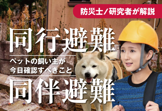 ペットの「同行避難」と「同伴避難」の違いは？災害時に備えて飼い主が今日確認すべきこと