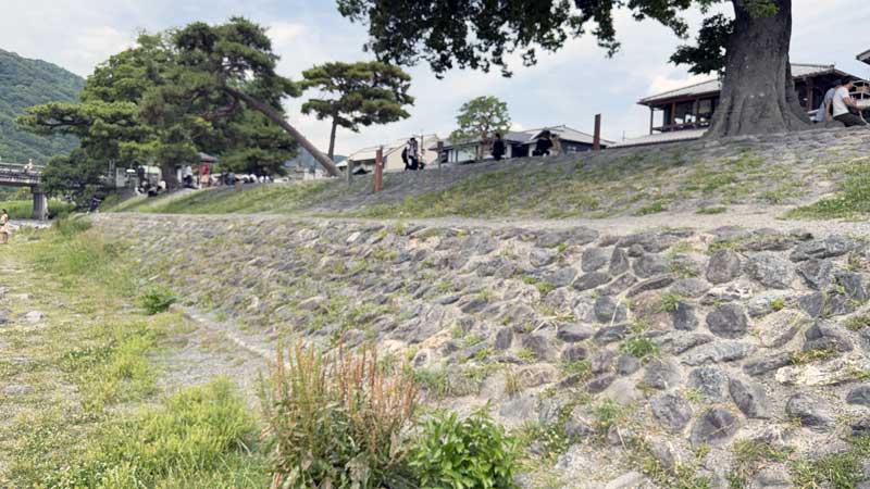 桂川から望む堤防の法面（2段）。