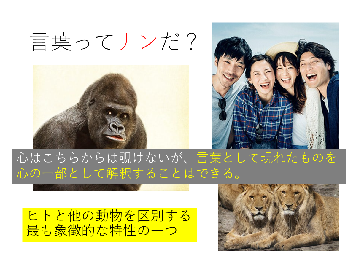 体験授業「失語症って知っていますか？」