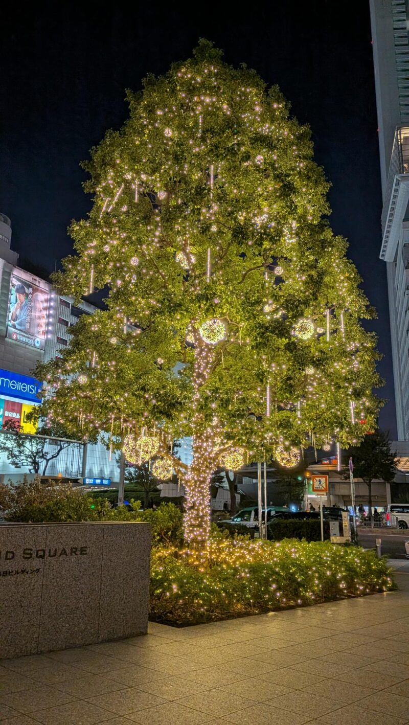 学会に参加してきました