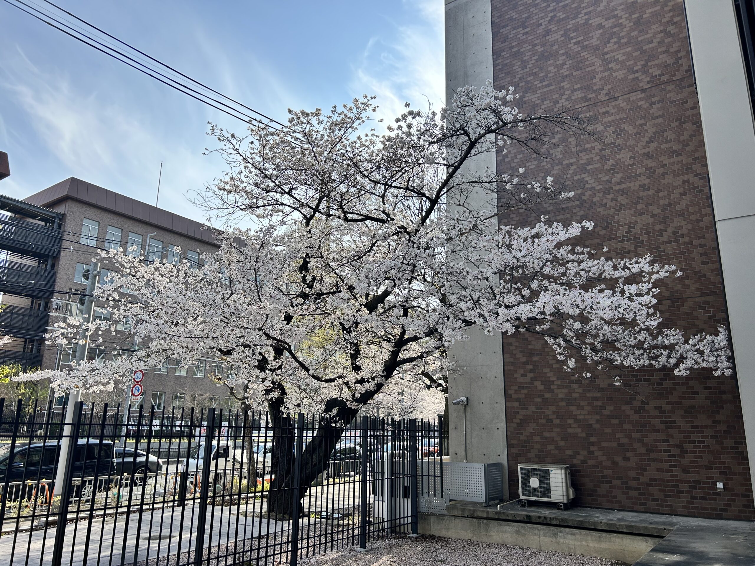新学年のスタート ― 健康栄養学科より