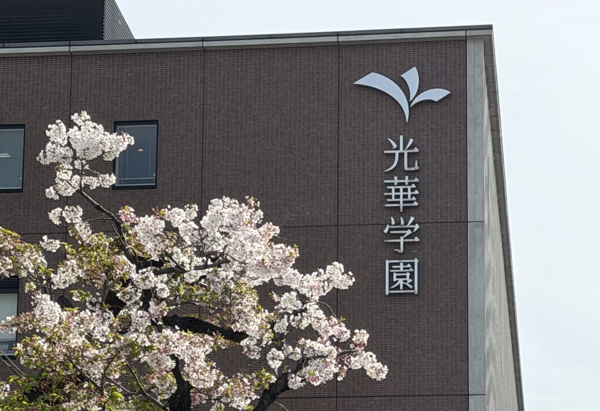 働きながら大学院で学ぶという選択｜京都光華大学大学院 看護学研究科看護学専攻の4月の様子