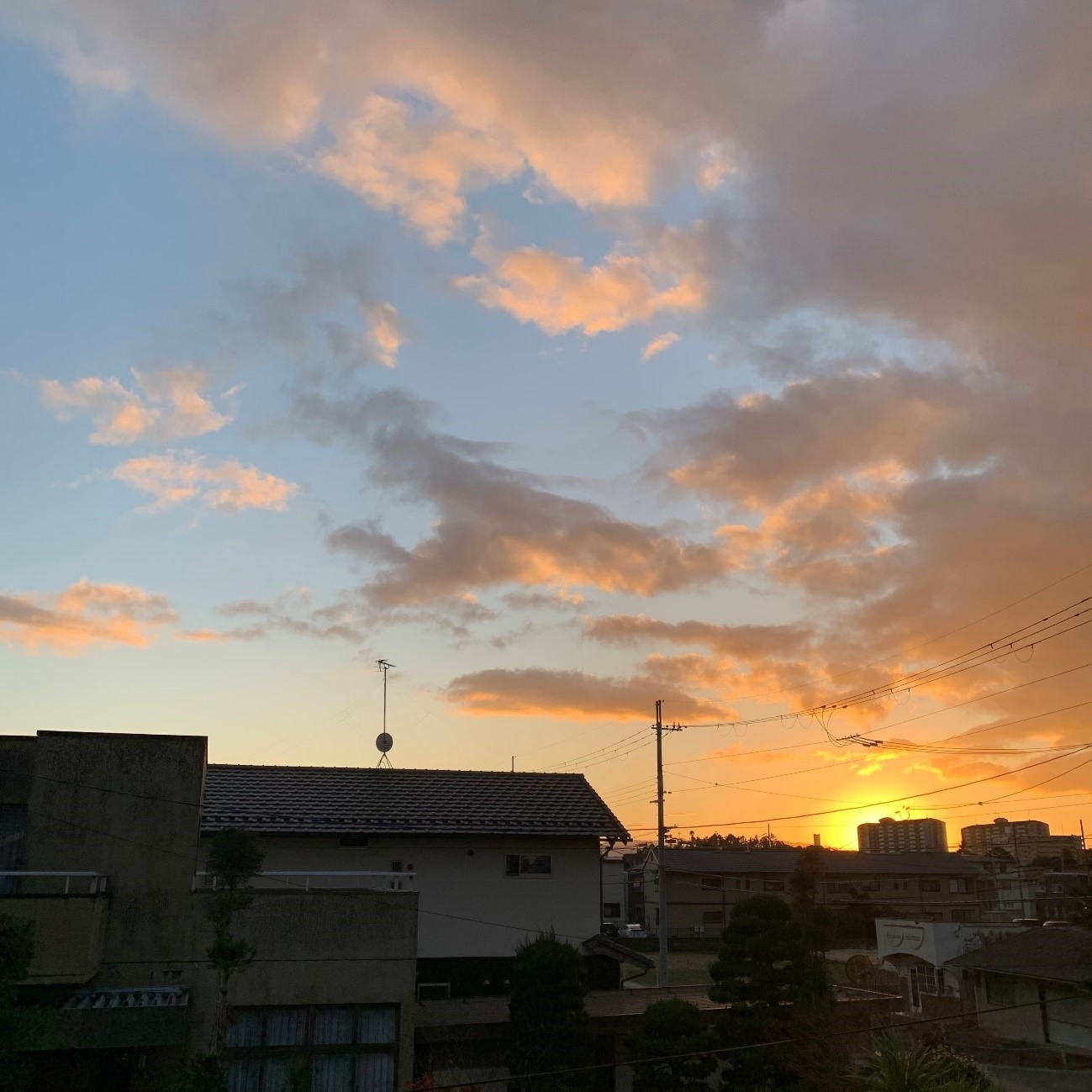 課題の休憩中に外を見たら夕日が綺麗だったので一枚撮ってみました