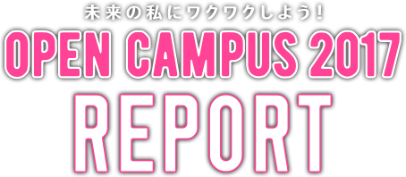 Open Campus 2017 Report