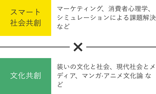 スマート社会共創(マーケティング、消費者心理学、シミュレーションによる課題解決 など) × 文化共創(装いの文化と社会、現代社会とメディア、マンガ・アニメ文化論 など)