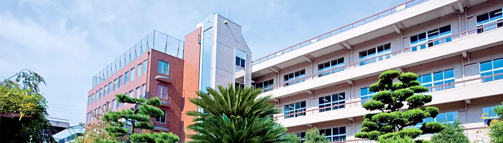 大学案内